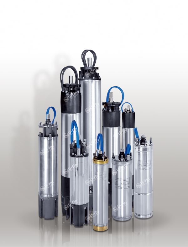 14RW 14寸重绕充水式潜水电机 14RW 14寸重绕充水式潜水电机