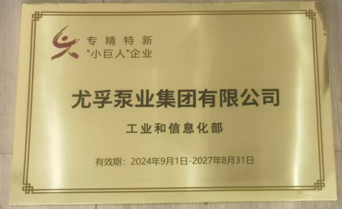 专精特新小巨人企业